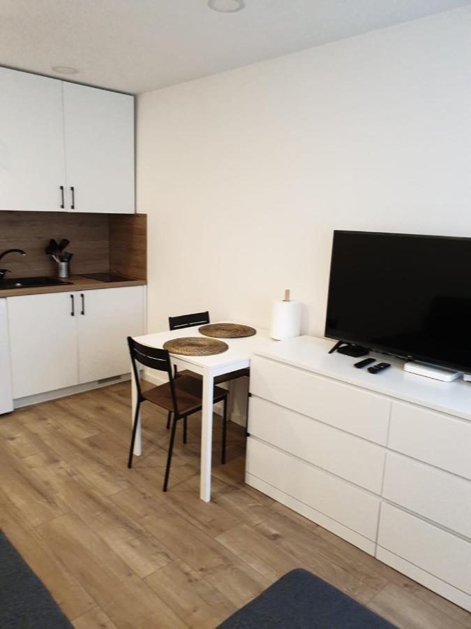 Studio Rent In Zarasai Exterior photo