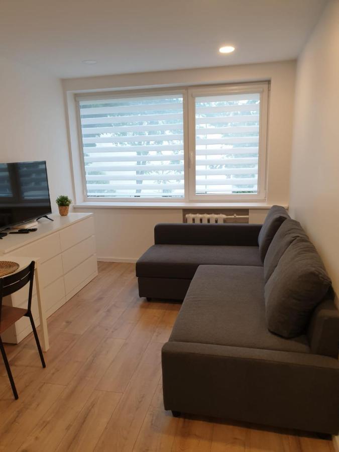 Studio Rent In Zarasai Exterior photo